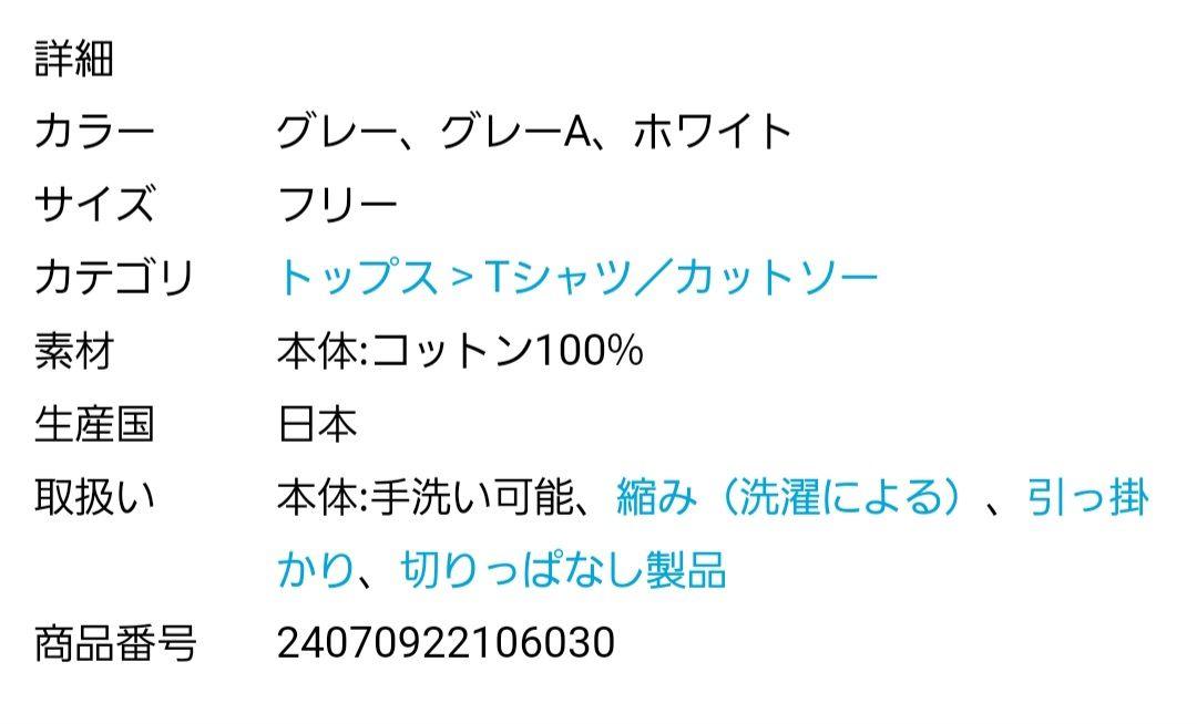 Plage プラージュ Mesh Sheer ロンT【2024】