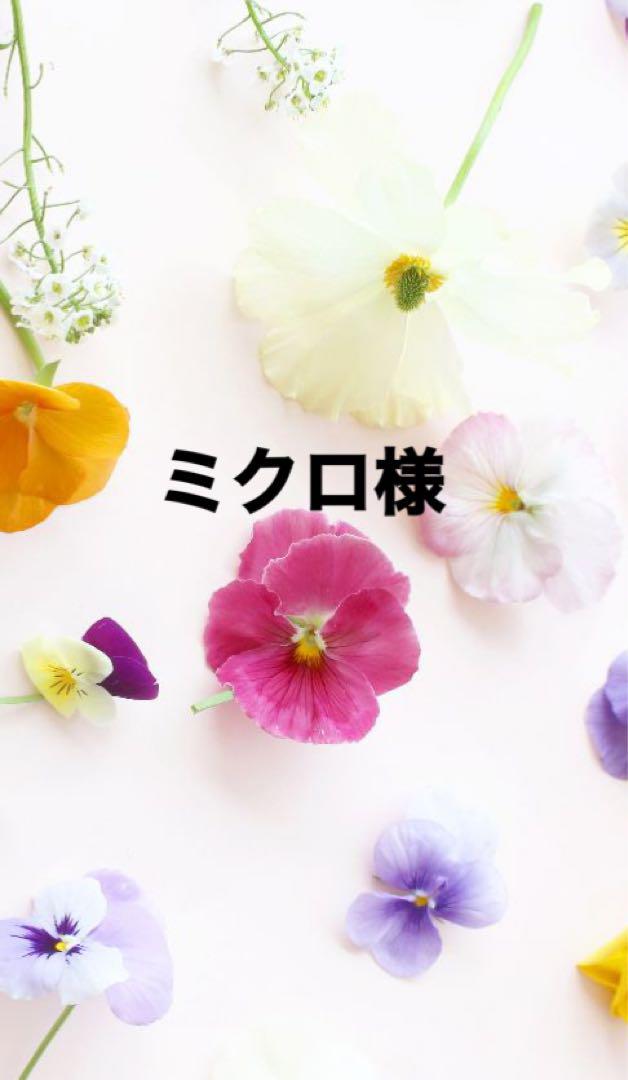 ミクロ出品になります。