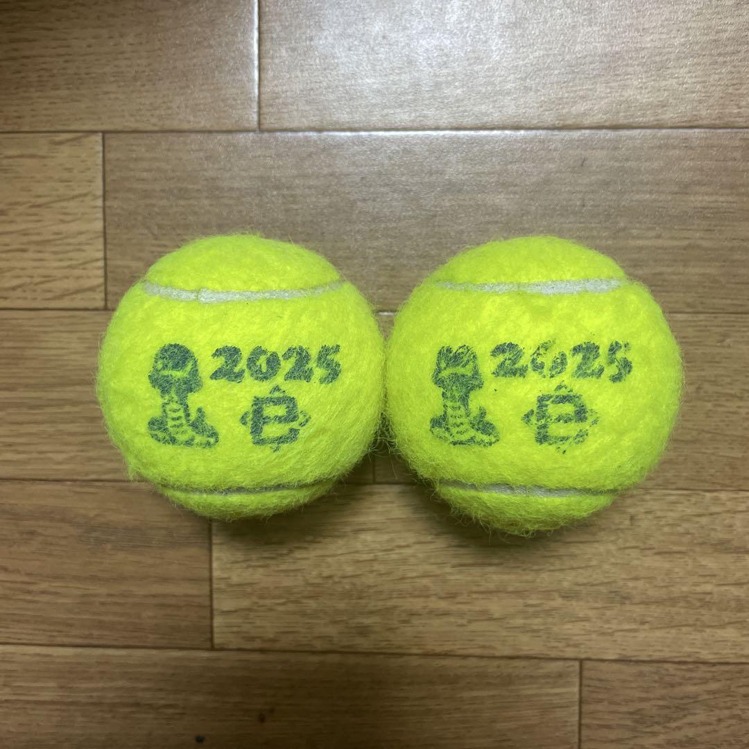 DUNLOP FORT テニスボール (中古品) 2025年干支ボール 114球 ダンロップ フォート 干支ボール（2025年「巳」）」を数量限定で