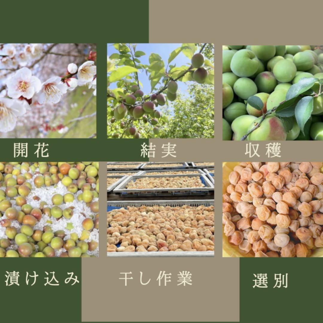 【訳あり】はちみつ梅干し1kg×2個　紀州南高梅 農家直送