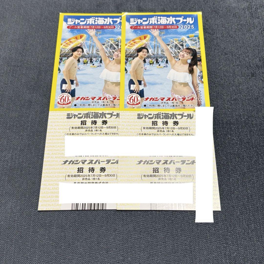 ナガシマスパーランド　ジャンボ海水プール　入場券　2枚セット