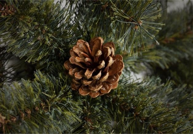 クリスマスツリー