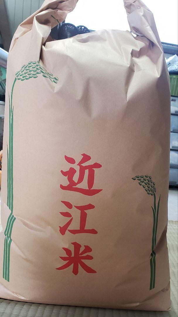 令和5年産コシヒカリ玄米25kg