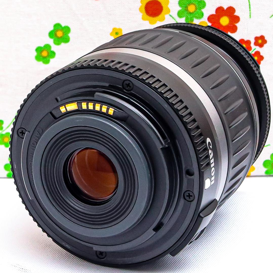 美品 キャノン Canon kiss x☆初心者おススメ☆スマホに転送☆一眼レフ