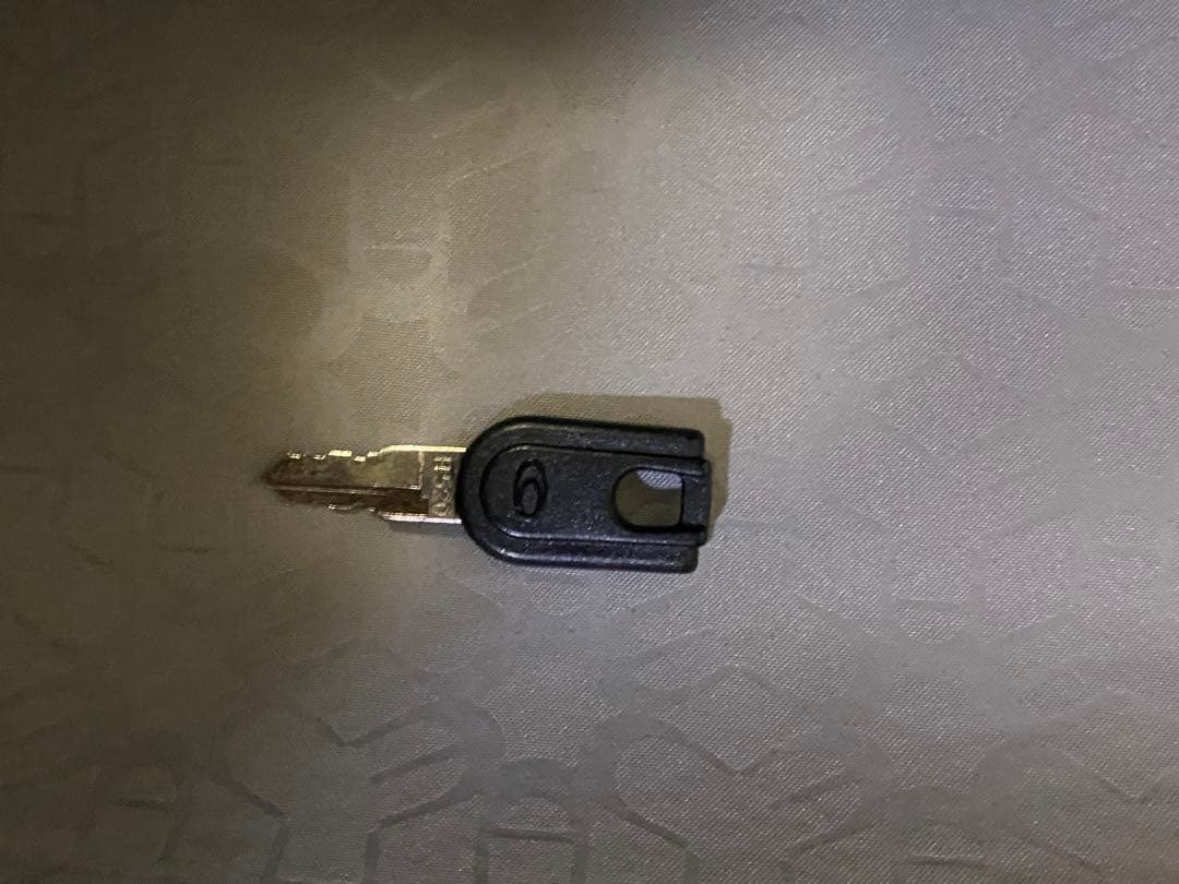 Traveler 中-大型スーツケース目立った傷や汚れなし