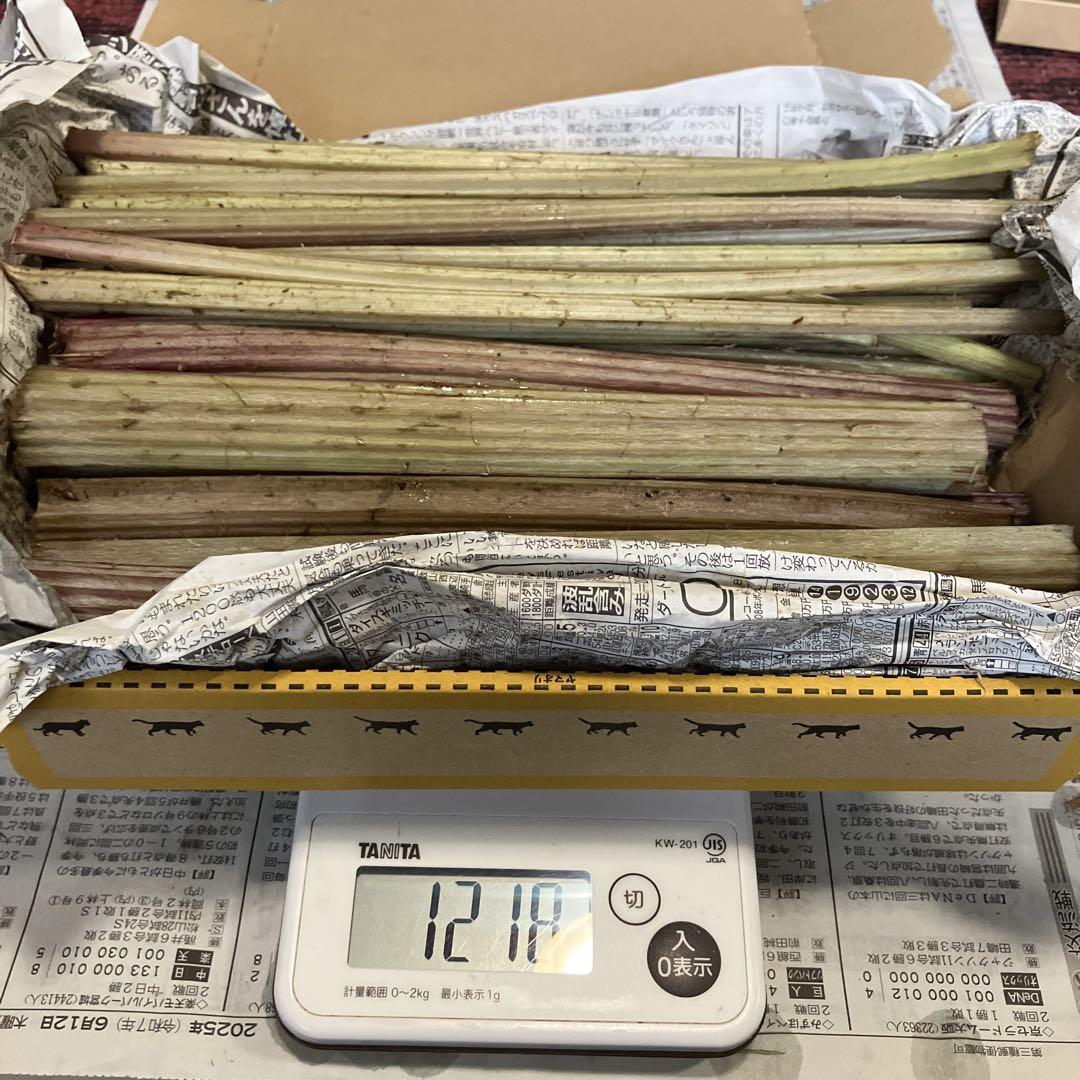 信州産　天然ふき　お箱混み約 一キロ宅急便コンパクト 信州産 天然ふき お箱混み約 一キロ宅急便コンパクト - メルカリ