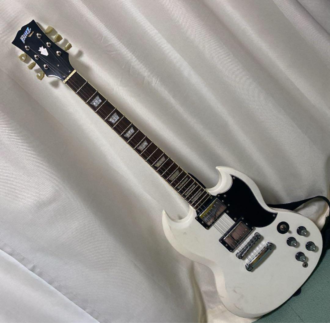 ARIAPROII BSG-STD