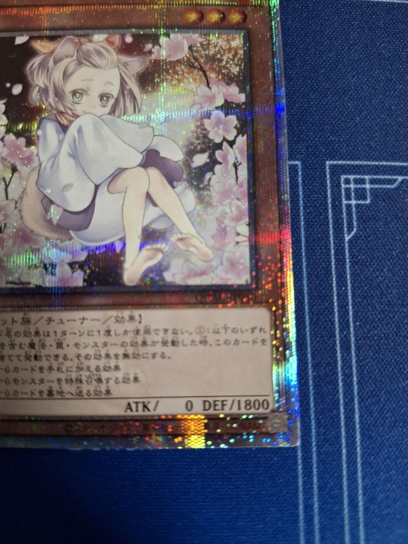 遊戯王OCG 灰流うらら 25thクォーターセンチュリーシークレット