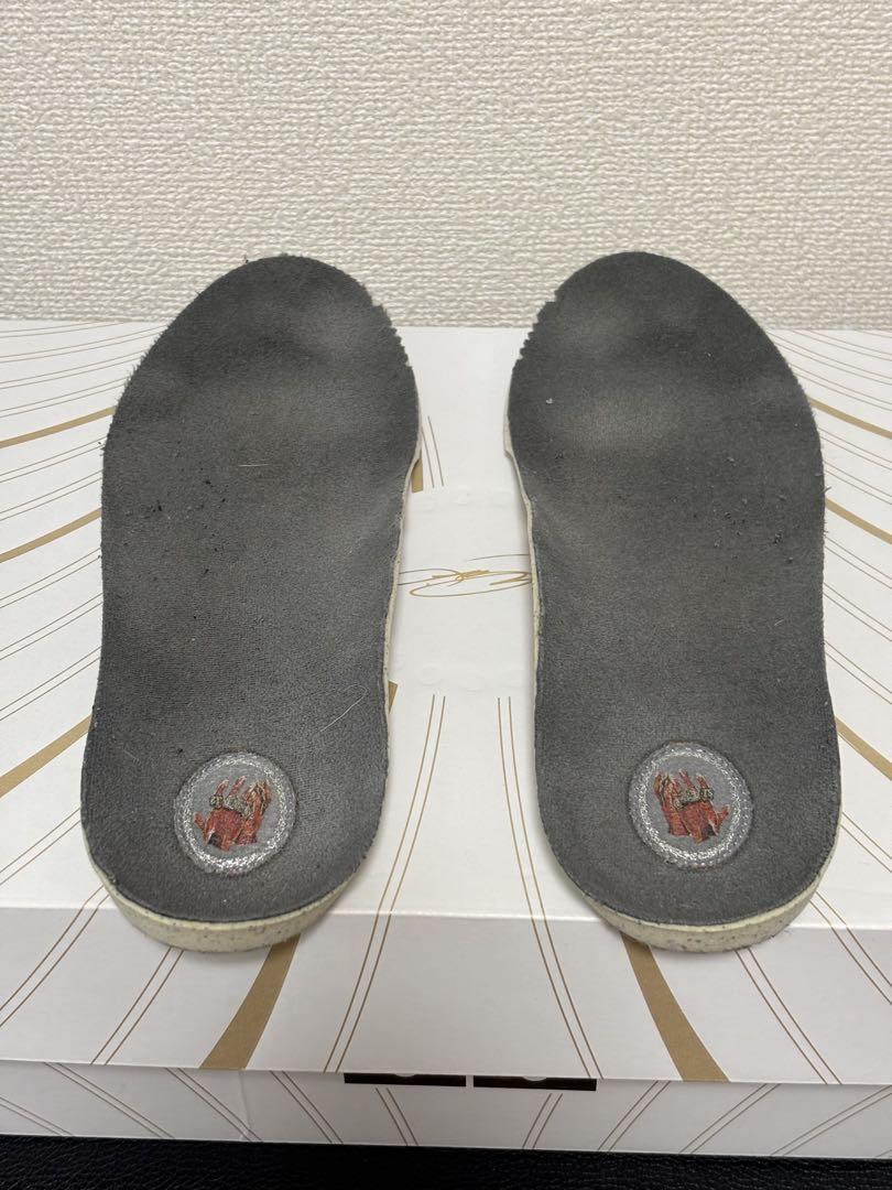 シューズ(男性用) NIKE LeBron 21 Cool Grey