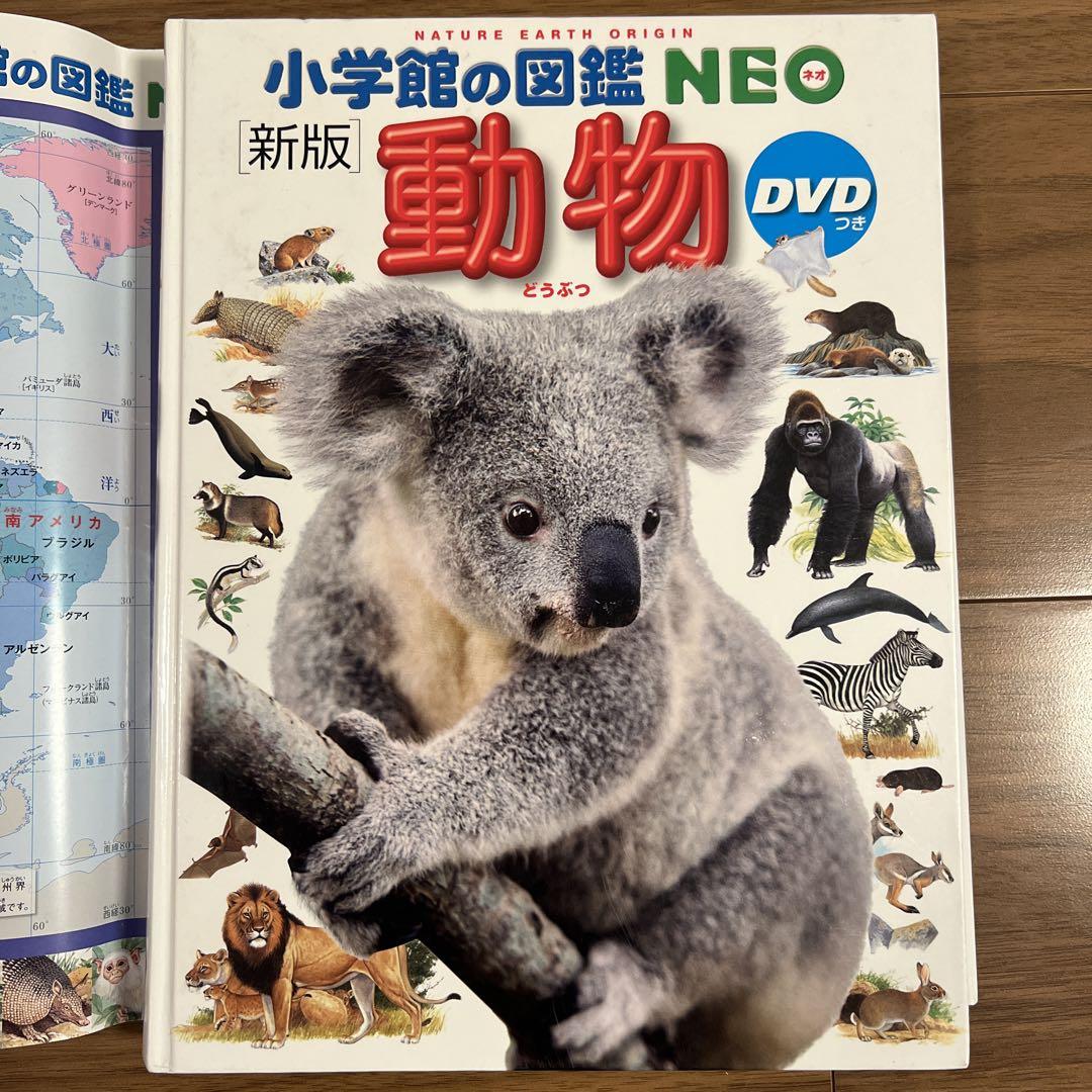 DVD付 新版 動物 (小学館の図鑑 NEO) | 三浦 慎悟, 成島 悦雄