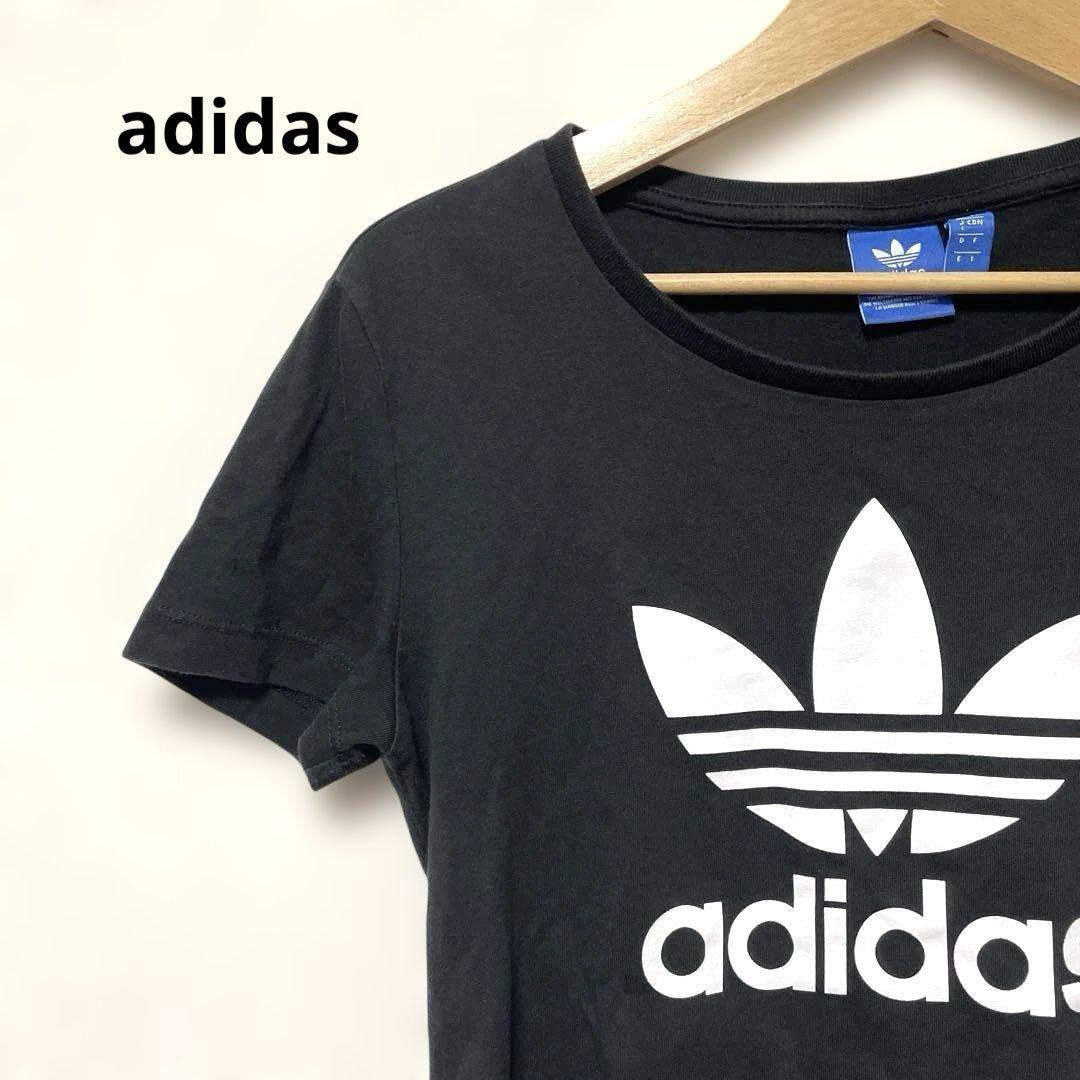 adidas originals クロップド丈 Tシャツ - メルカリ