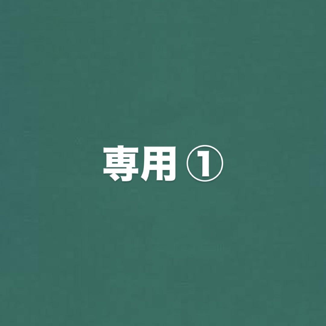 佐藤優満様専用