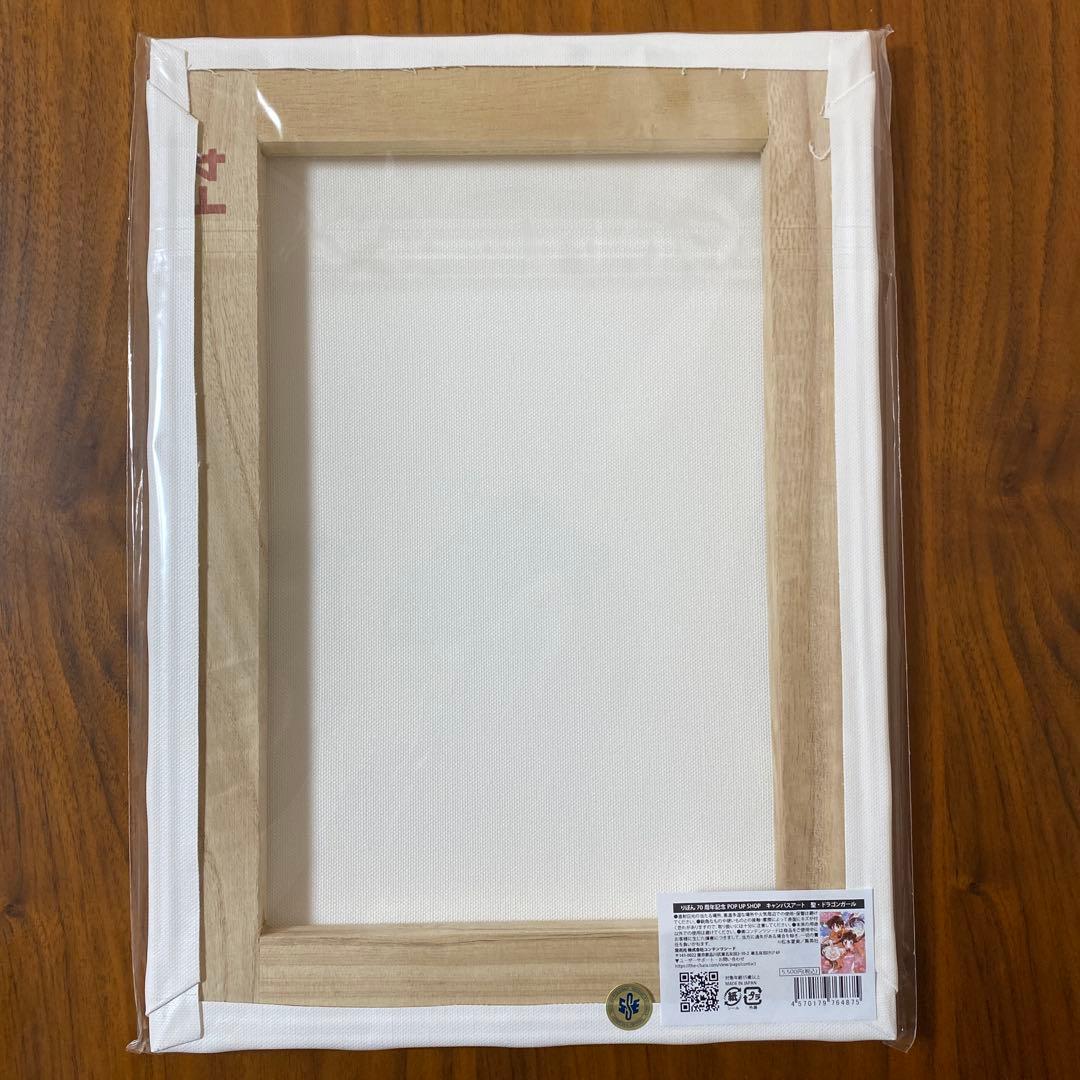 未使用 松本夏実 聖ドラゴンガール りぼん70周年記念ポプショ グッズ5点セット