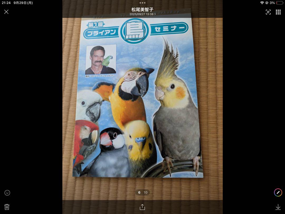 ブライアン 鳥 セミナー目立った傷や汚れなし
