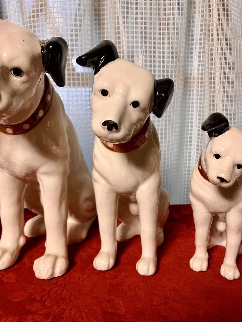 ビクター犬 6匹