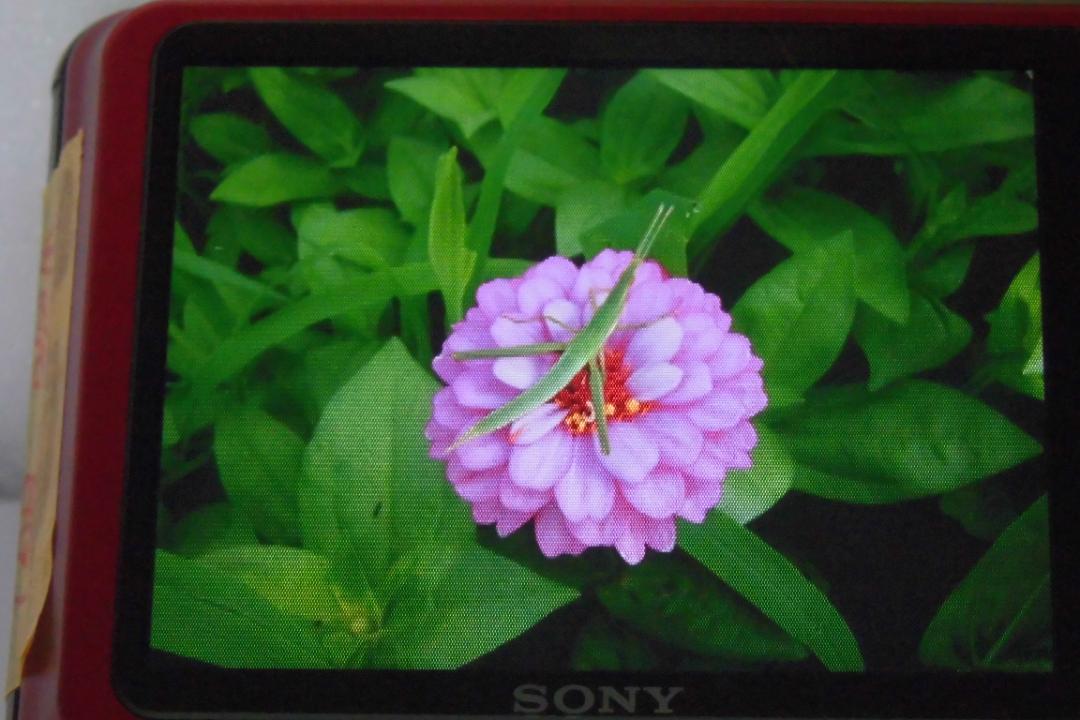 ソニー SONY Cyber-shot DSC-W270デジタルカメラ