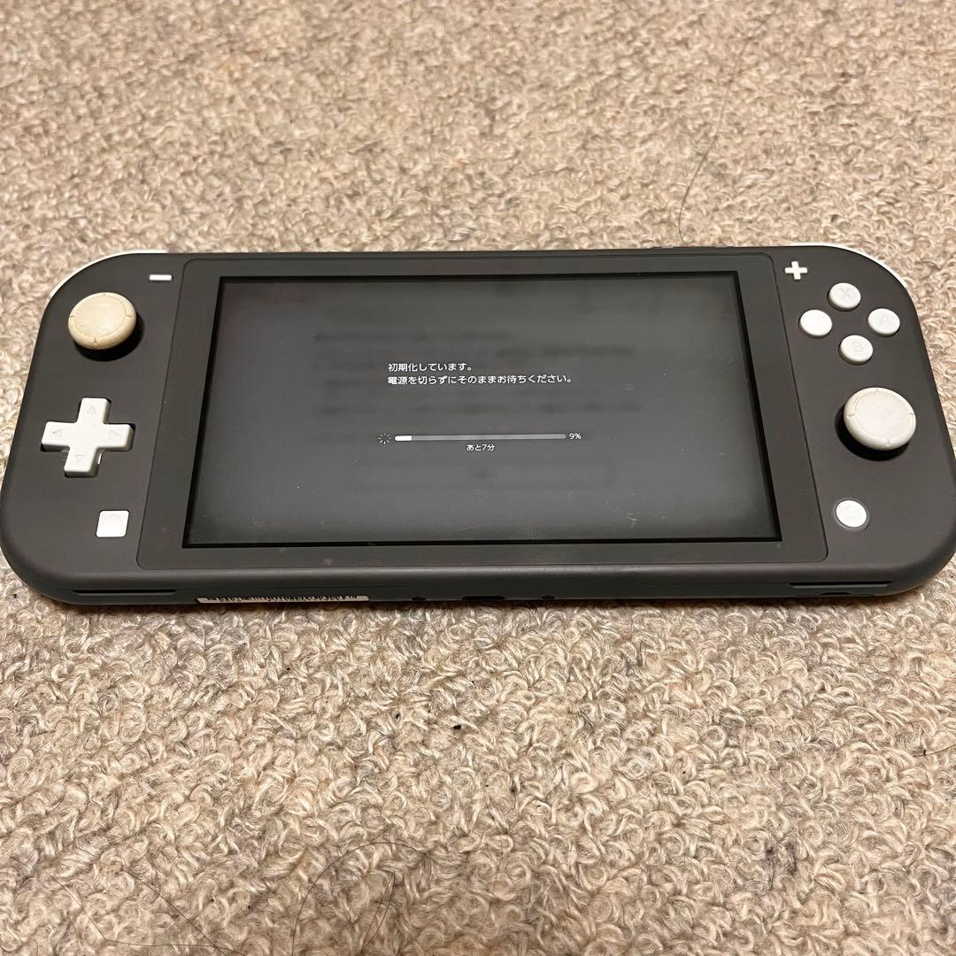 Nintendo Switch Lite グレー 本体 充電器付き Nintendo Switch Lite グレー 本体 充電器付き
