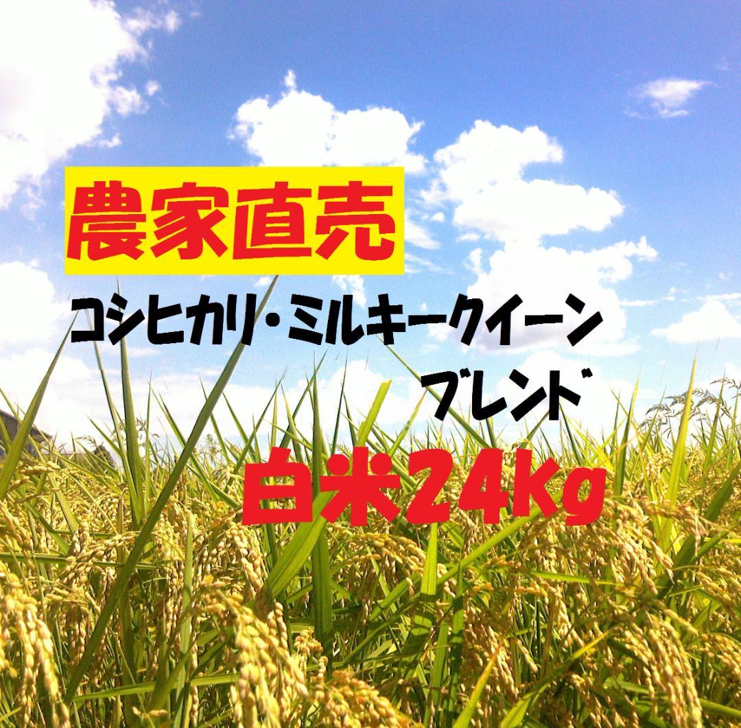 ☆新米☆農家直売・特別栽培米コシヒカリミルキークイーン