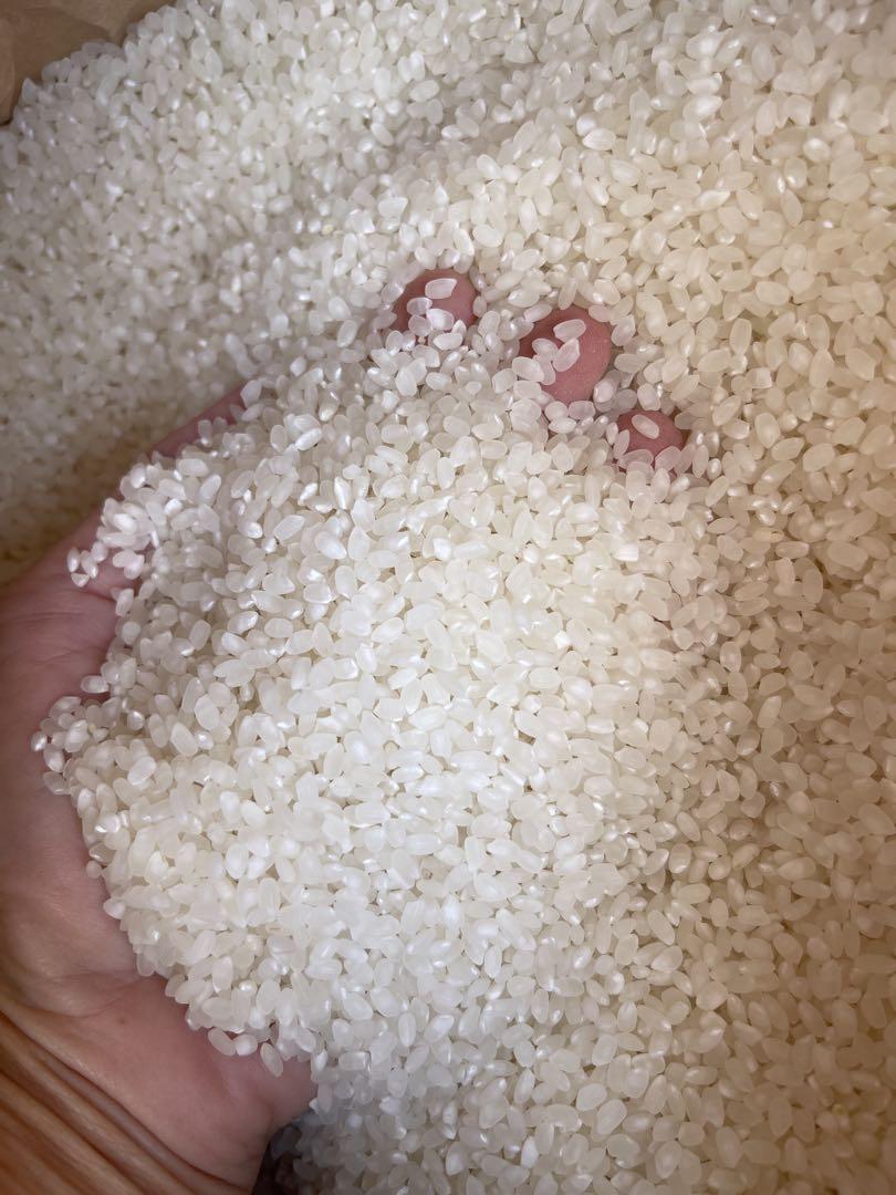 新米 30 kg てんこもり 国産100% 富山県産
