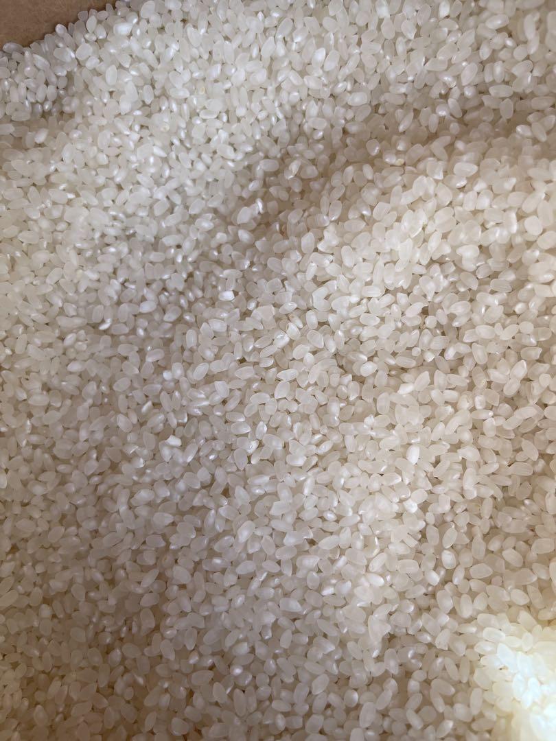 新米 30 kg てんこもり 国産100% 富山県産