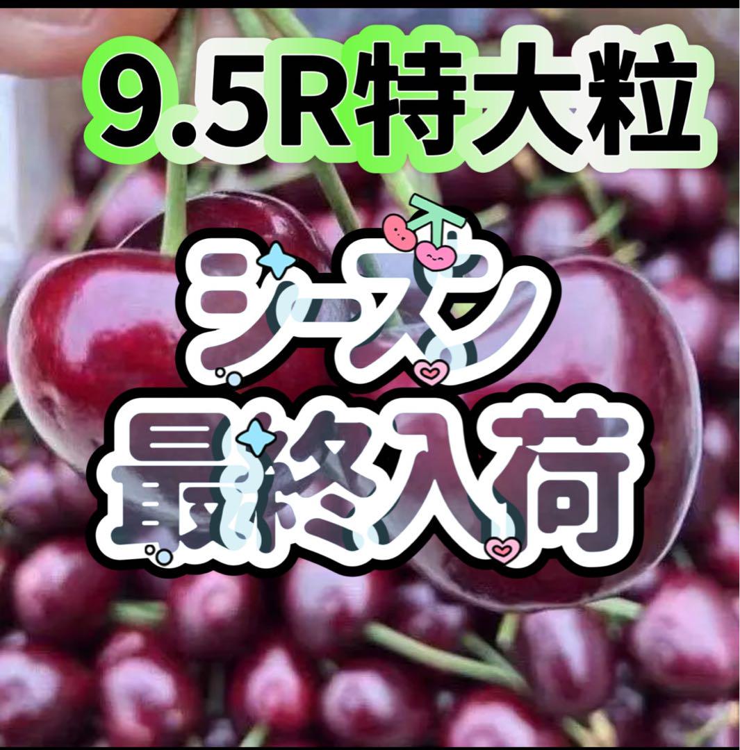 激安‼️9.5R特大粒 アメリカンチェリー チェリー さくらんぼ