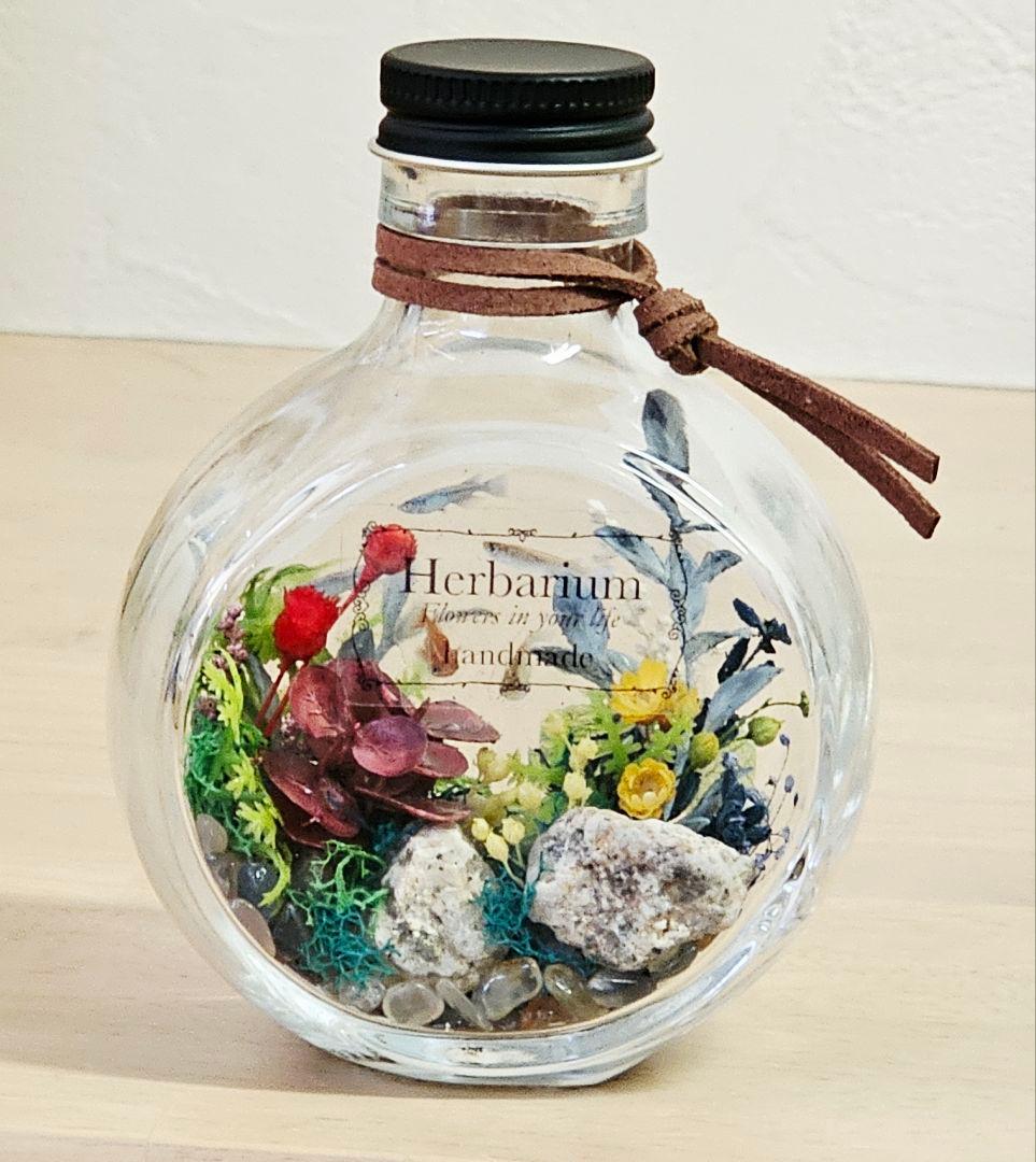 Rush専用夏saleハーバリウム＊テラリウム&メダカ