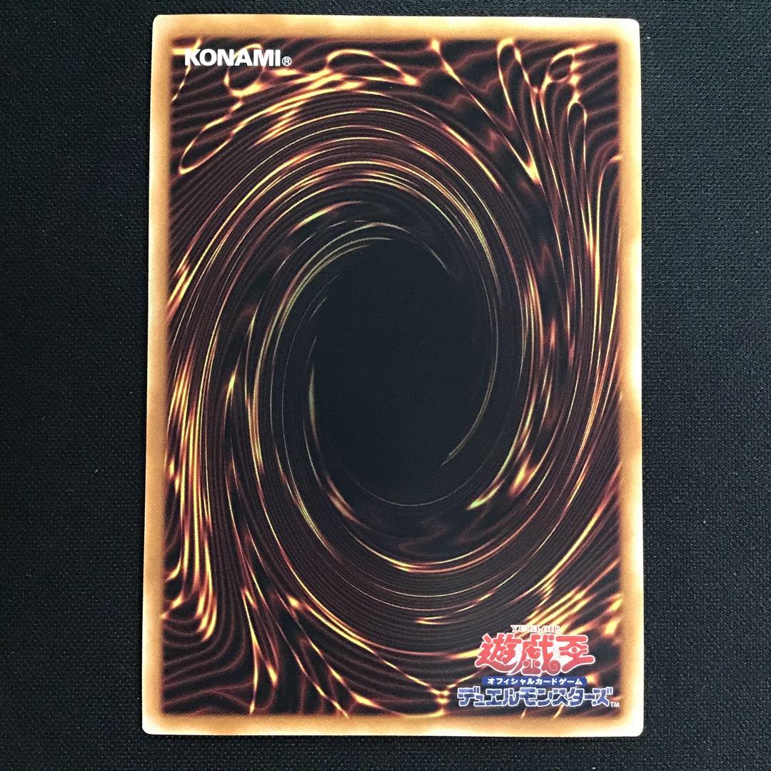 究極竜魔導師 25th PSA10