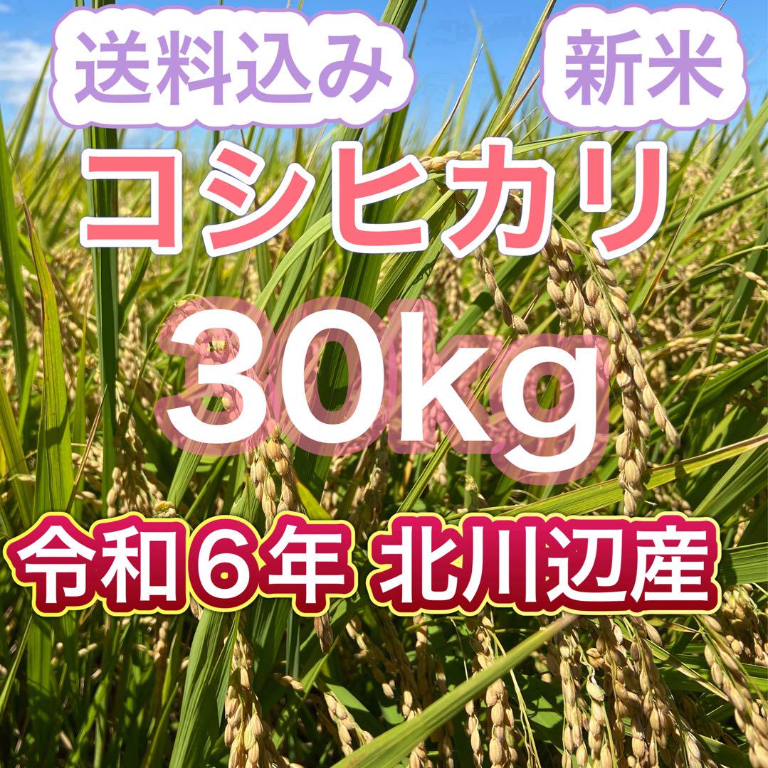 令和6年 新米 コシヒカリ 玄米30kg（白米27キロ）埼玉北川辺産 減農薬