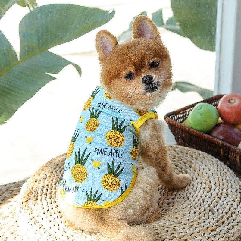 犬服 ドッグウェア シンプルオシャレ オーダーメイド ポコポコ 【限定品】 犬服 ドッグウェア シンプルオシャレ オーダーメイド ポコポコ 【限定品】