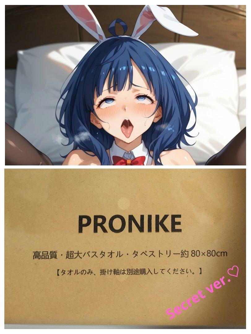 マケイン クッションカバー・ブランケット 八奈見杏菜調 逆バニーver. 新品