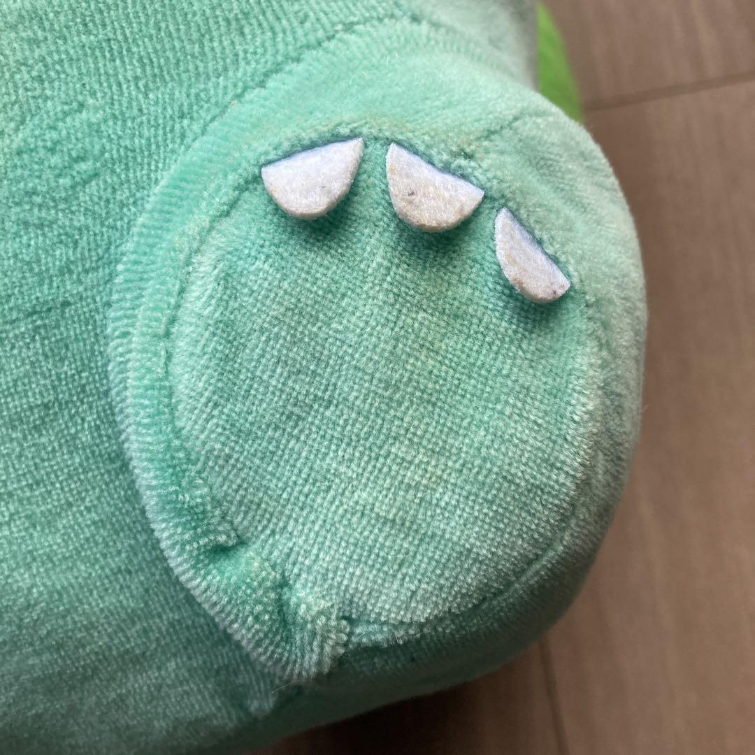 すやすや　フシギダネ