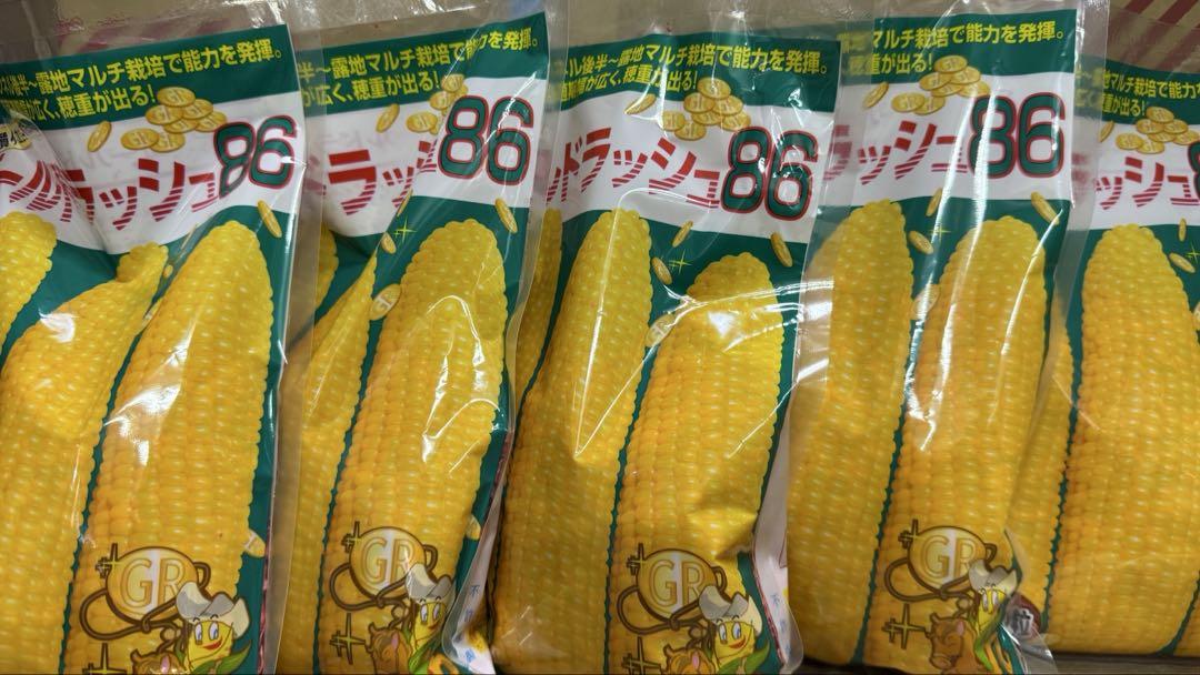 ✟ 5袋入りゴールドラッシュ86