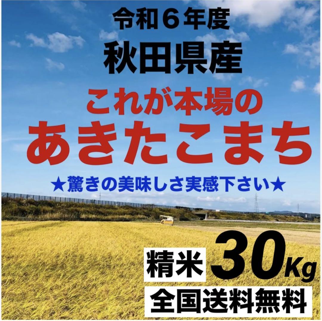 農家直送★令和６年度★新米★秋田県産これが本場のあきたこまち精米30kg小分け無