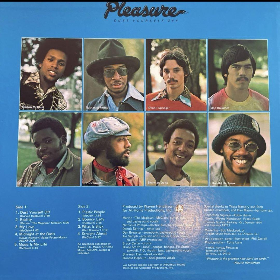 pleasure/dust yourself off レコード