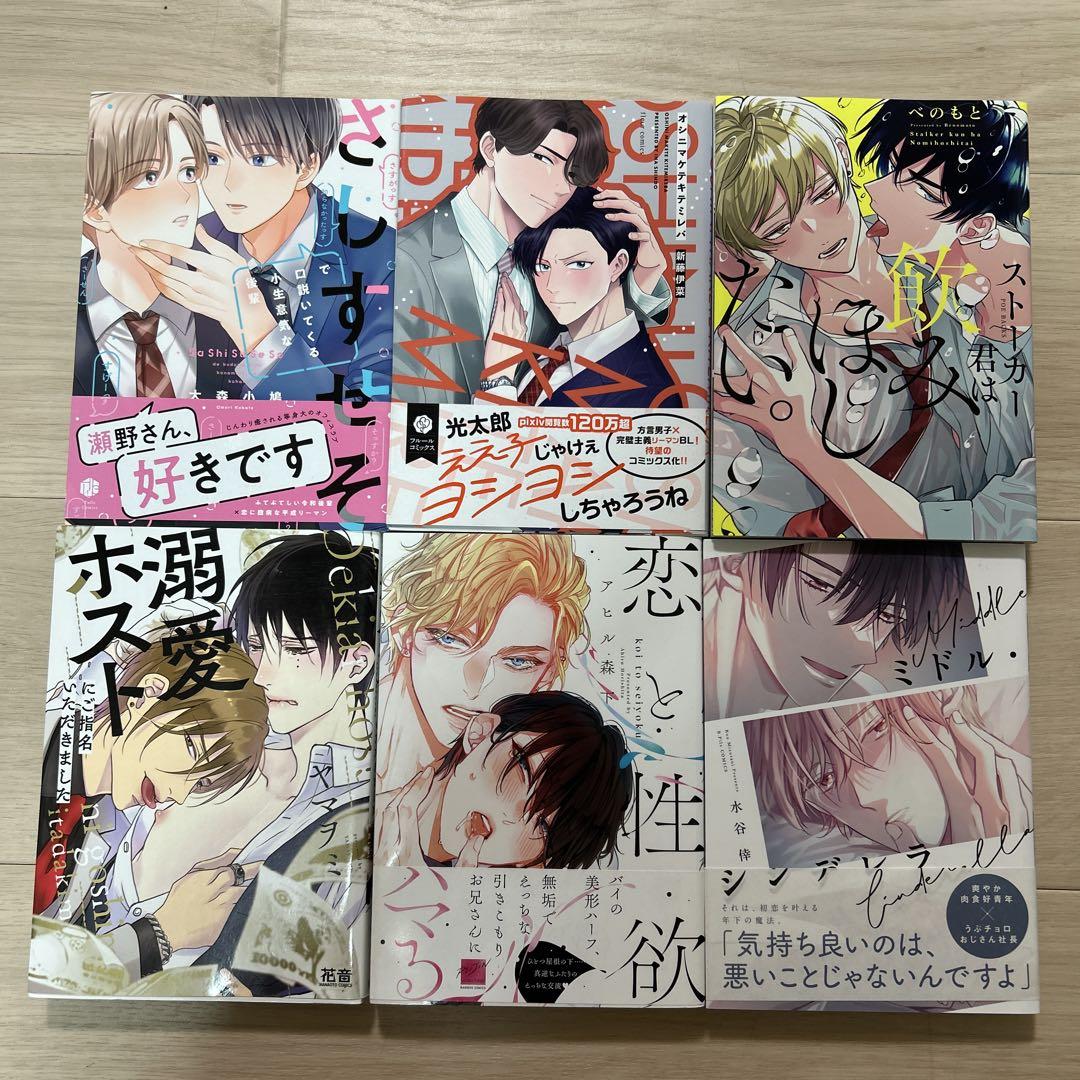 BLコミックまとめ売り24冊④ バラ売り可 - メルカリ