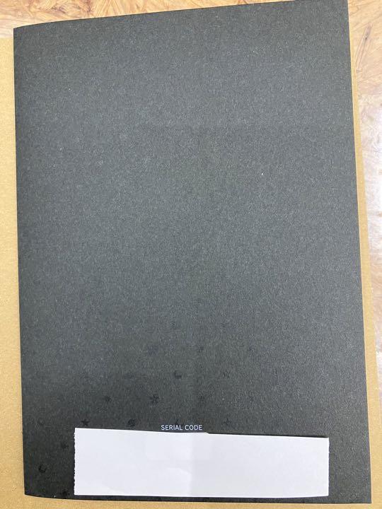 紬 ヴェンダース 直筆サイン 台紙付き Lycee リセ 自分探しの
