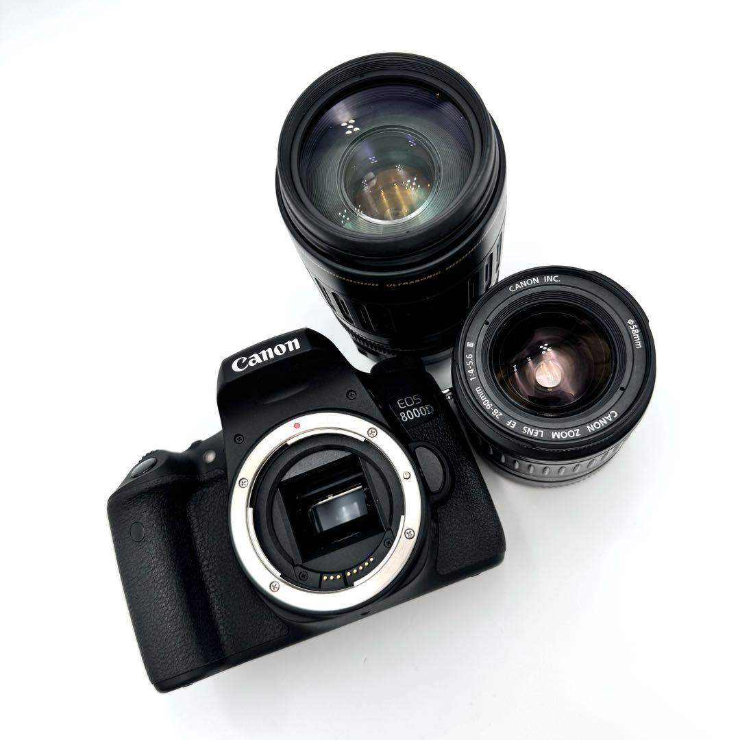 【超望遠ダブルレンズ】Canon EOS 8000D Wi-Fi機能搭載