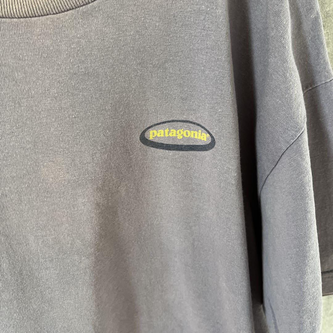 patagonia Beneficial