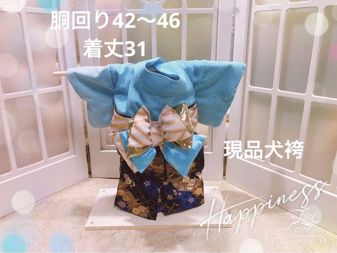 D78.pon2pan2☆現品犬袴 D78.pon2pan2☆現品犬袴