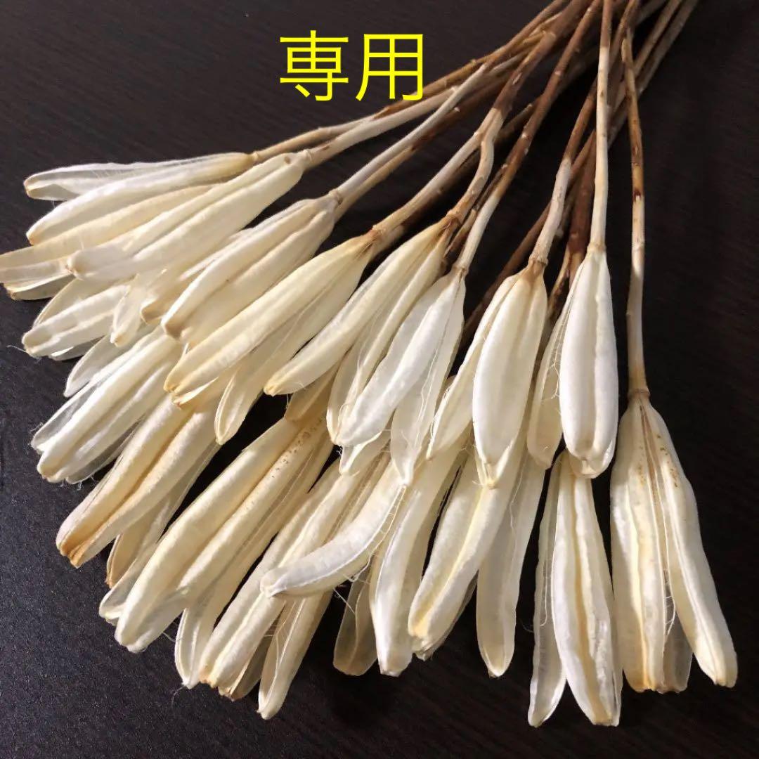 Aeiho O2rpq4lm Aeiho O2rpq4lm