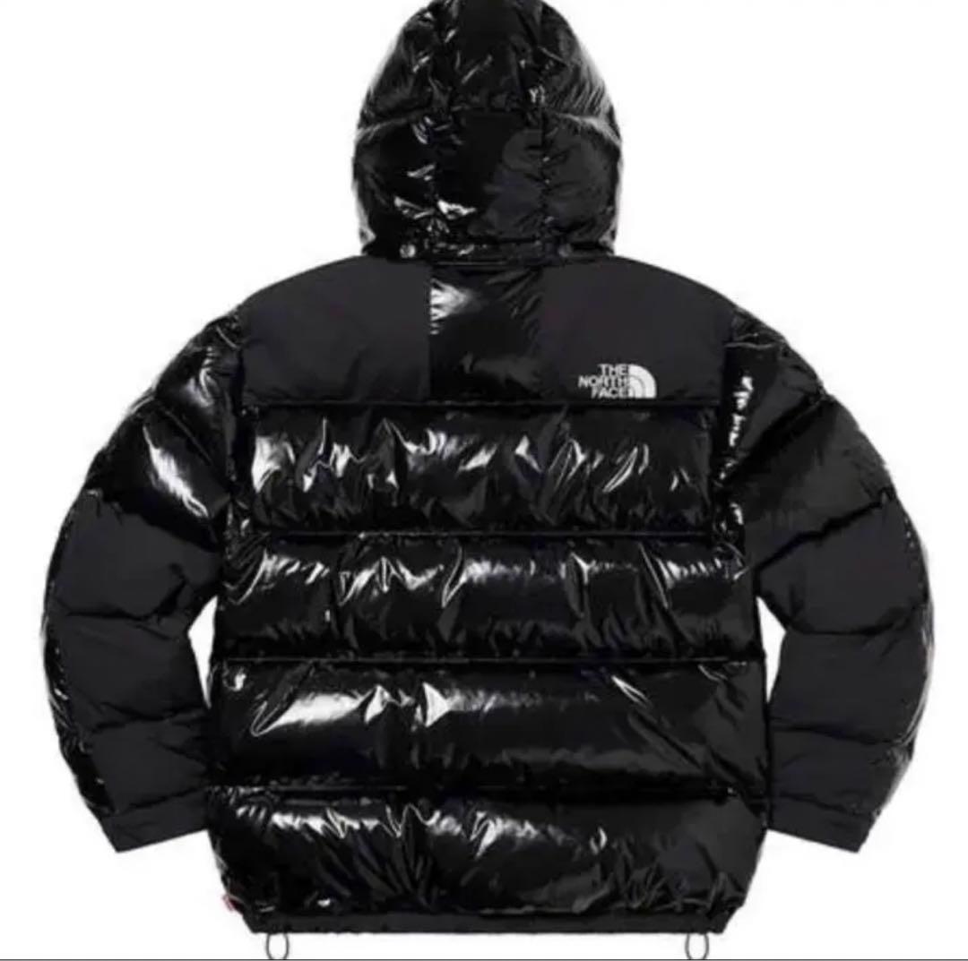 Supreme The North Face 700–Fill Down L