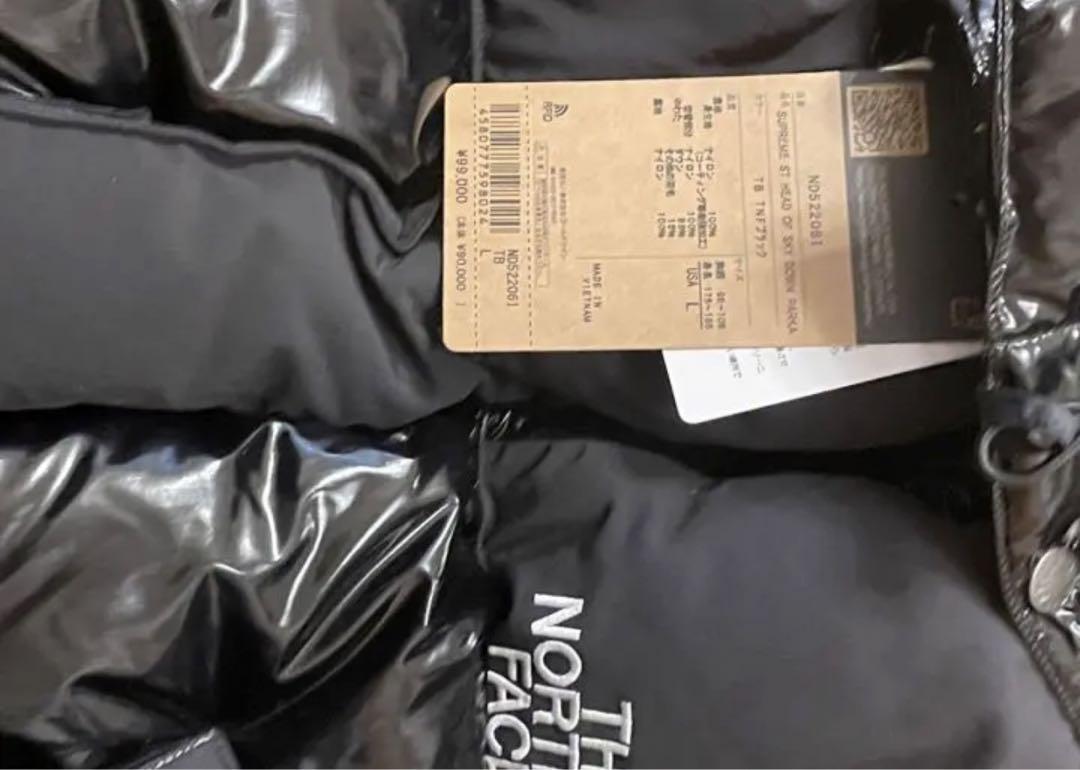 Supreme The North Face 700–Fill Down L