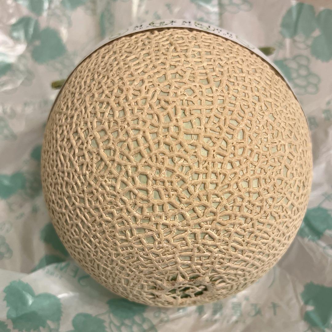 銀座千疋屋 マスクメロン