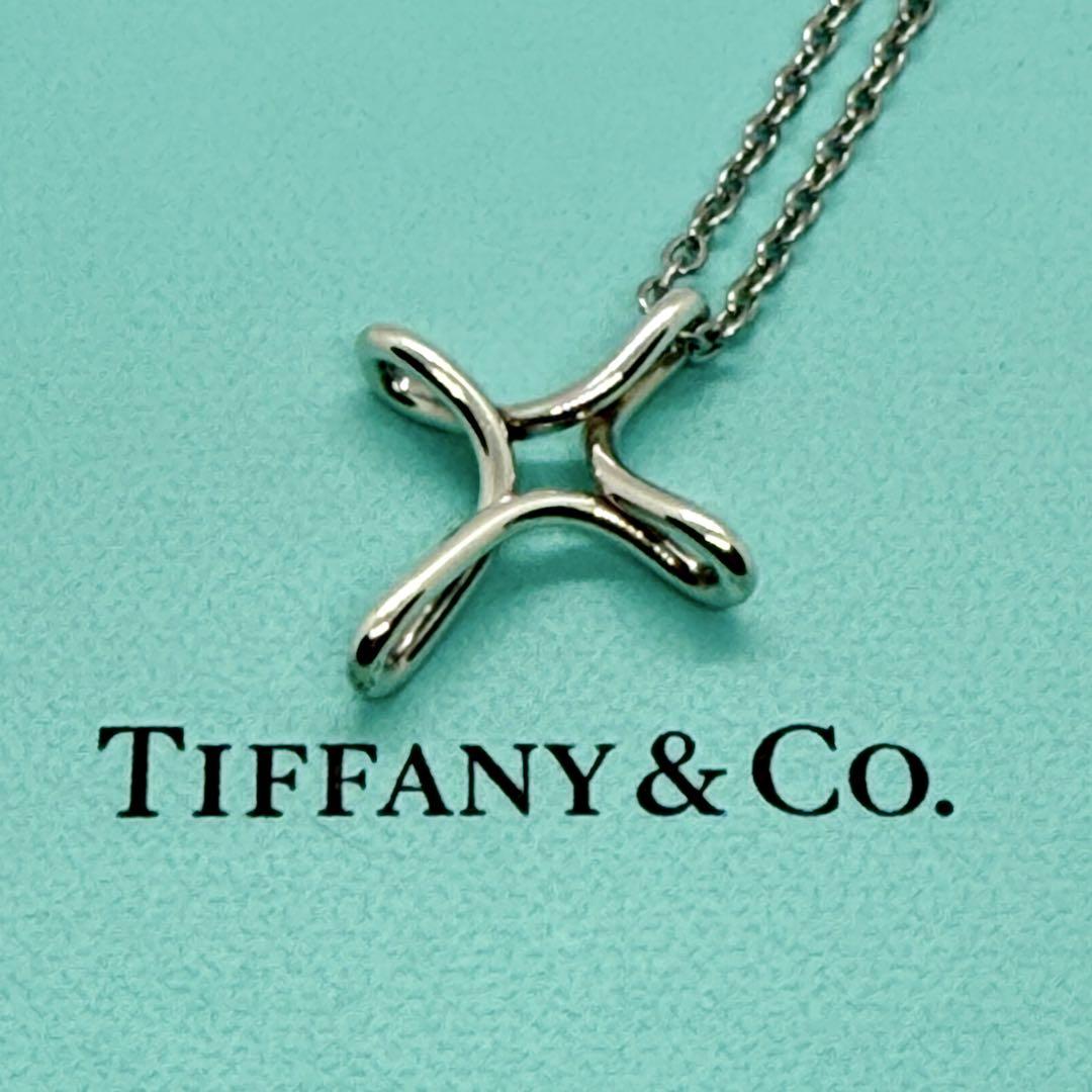 【Tiffany & Co】infinity クロスペンダントM ★日本未入荷 社外チェーン】TIFFANY&Co. インフィニティ クロス ネックレス