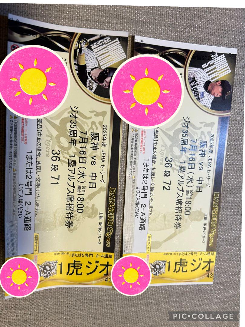 2025年7月16日（水）阪神 vs 中日 ウル虎の夏 アルプス席2枚連番