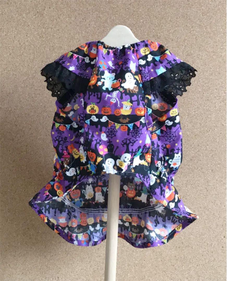 進化版 ヒロミ様専用 ハンドメイド犬服 ワンピース - shinjoji-nursery 販売正規品 ヒロミ様専用 全巻セット