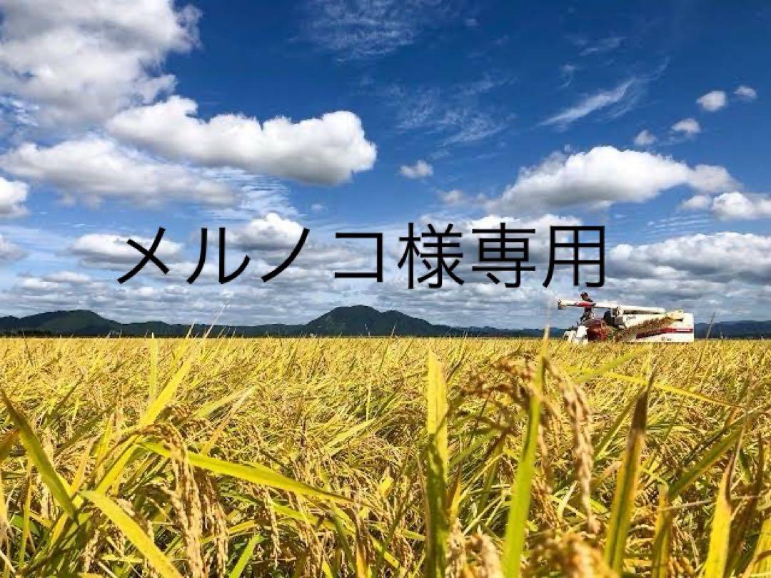 メルノコ様専用　たきたて　玄米
