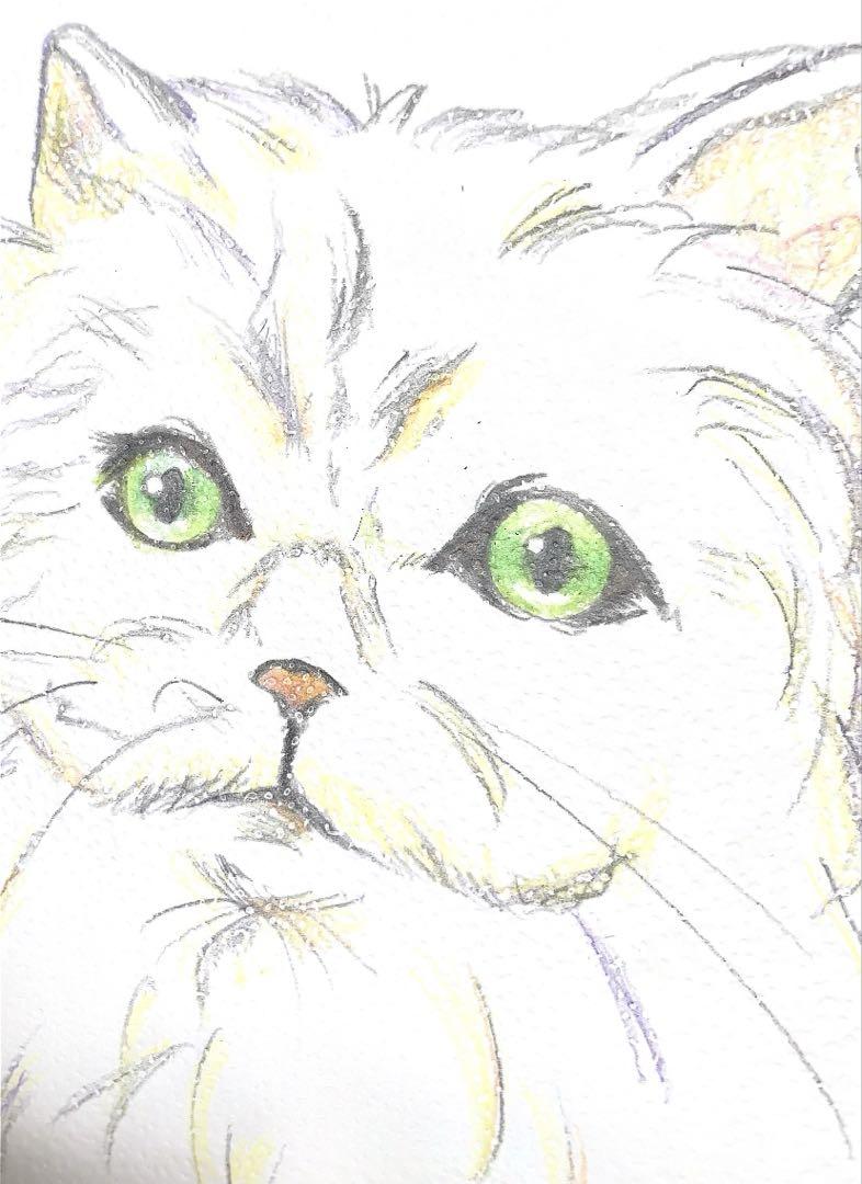 切り絵の一閑張り「ペルシャ猫」