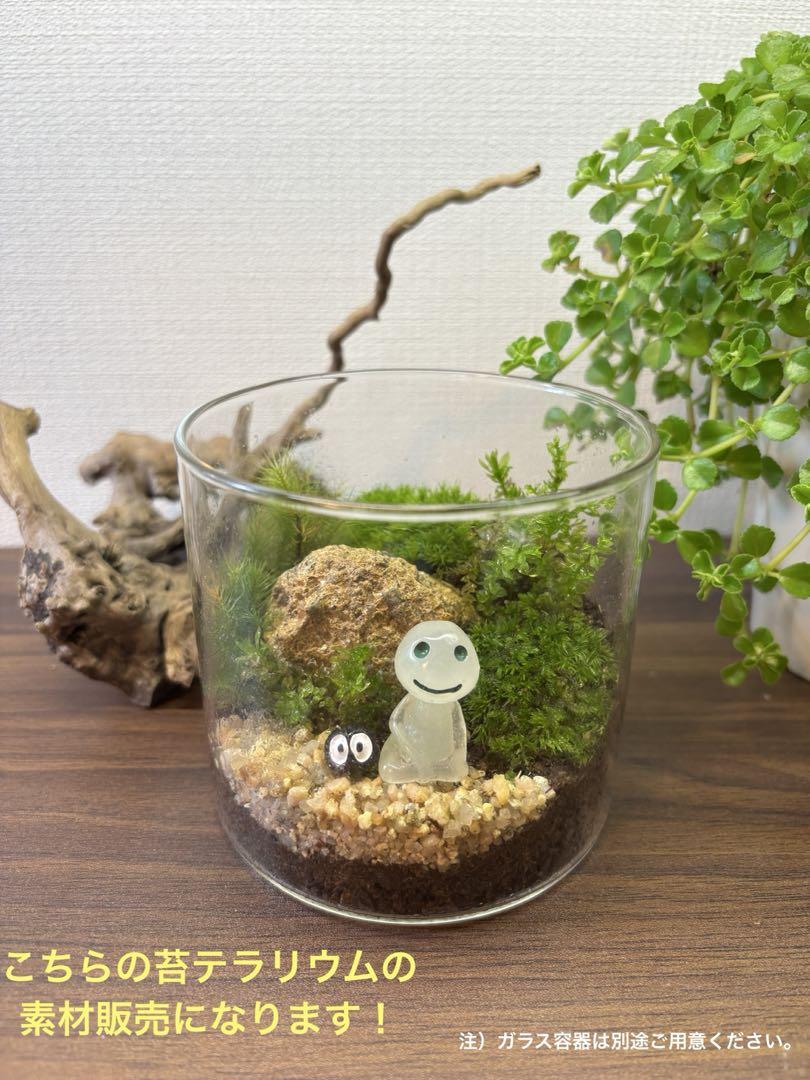まりも水晶 ブレスレット 10㎜17㎜クーカイトインクォーツ ウニ