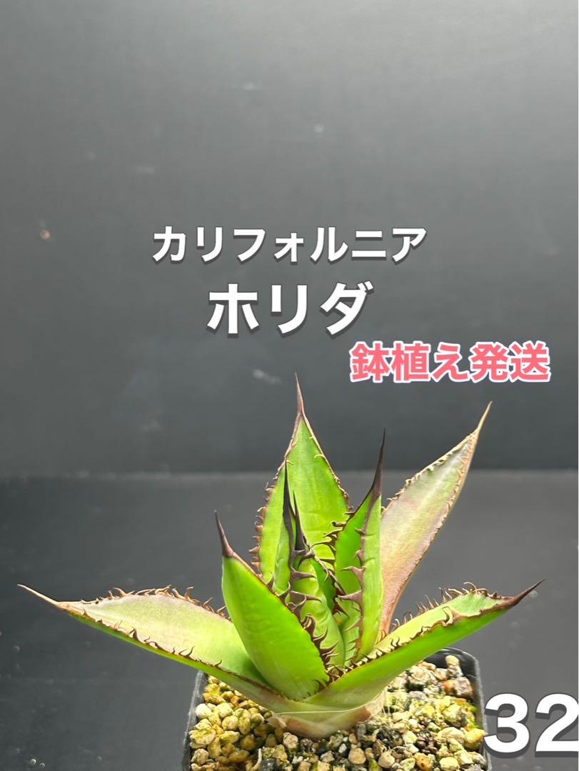 T-shin様 リクエスト 3点 まとめ商品